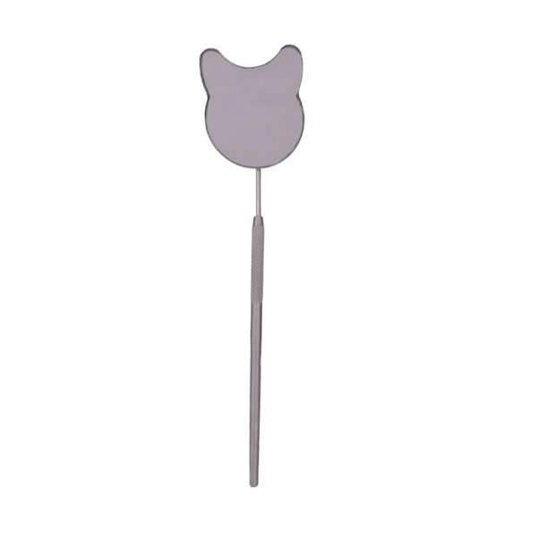 small lash mirror